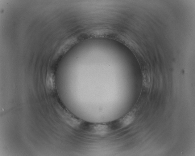 X0000074230718200609081621