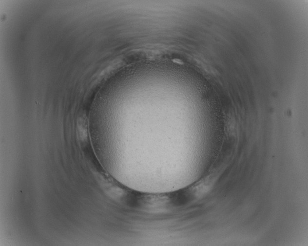 X0000074230719200609081621