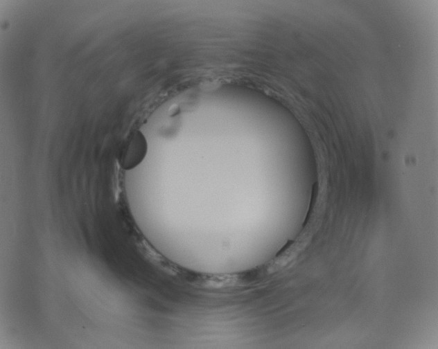 X0000074230720200609081621