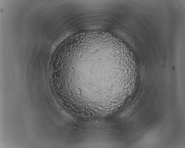 X0000074230721200609081620