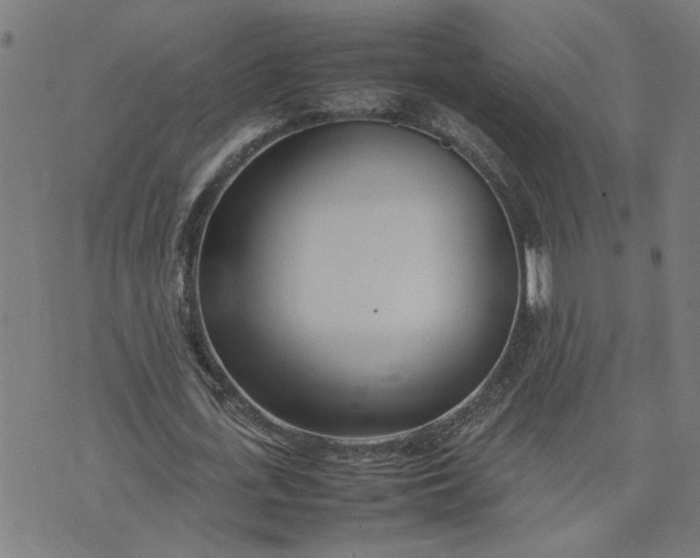 X0000074230723200609081620