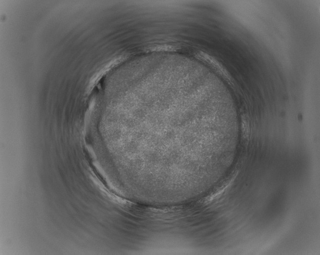 X0000074230725200609081620