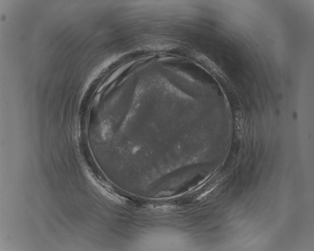 X0000074230726200609081620