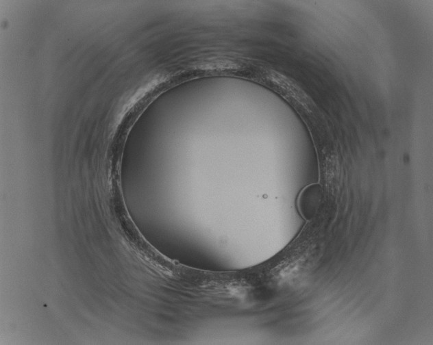 X0000074230727200609081620