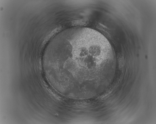 X0000074230729200609081620