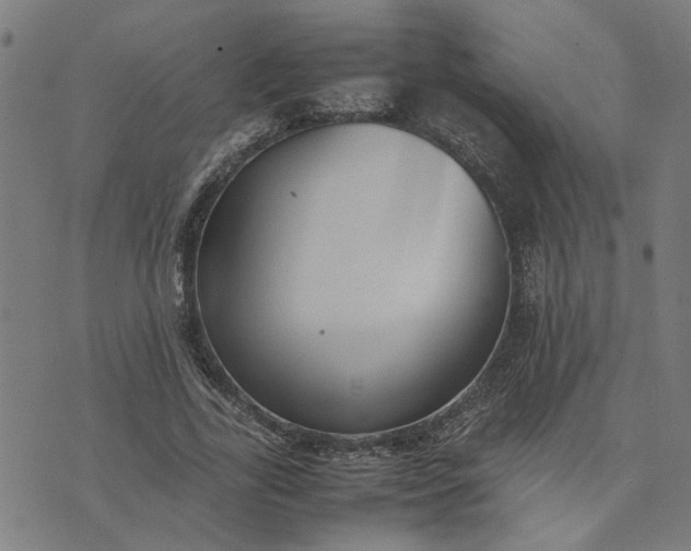 X0000074230731200609081620