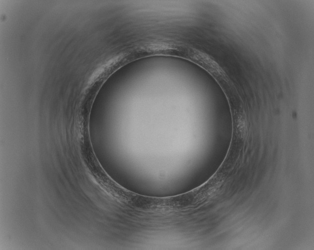 X0000074230732200609081620