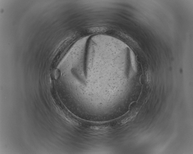 X0000074230733200609081620