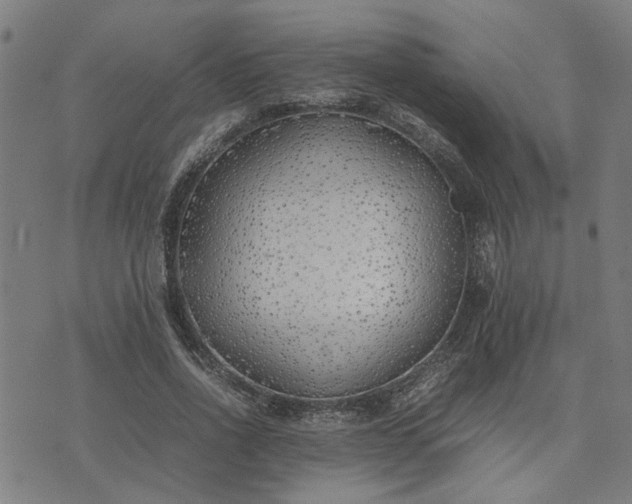 X0000074230734200609081620