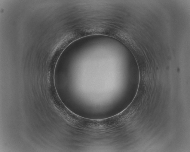 X0000074230735200609081620