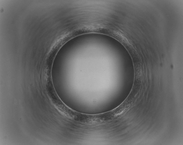 X0000074230736200609081620