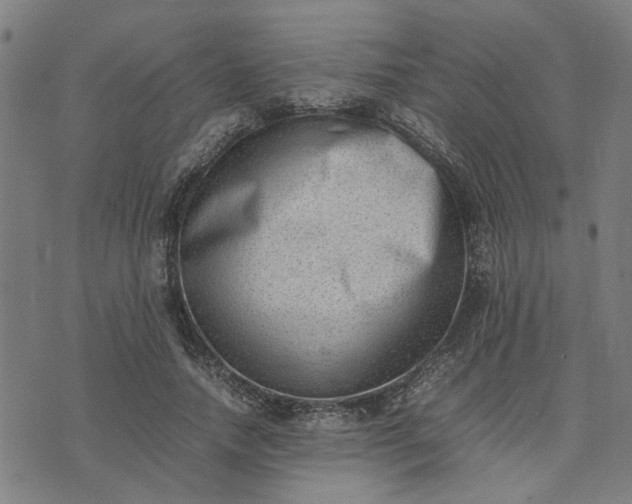 X0000074230738200609081620