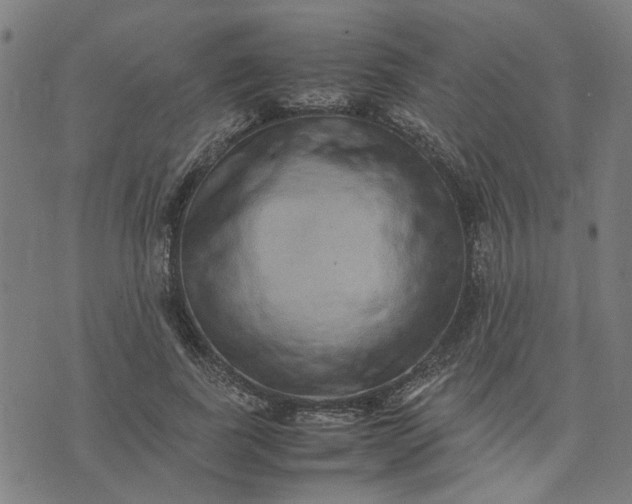 X0000074230739200609081620