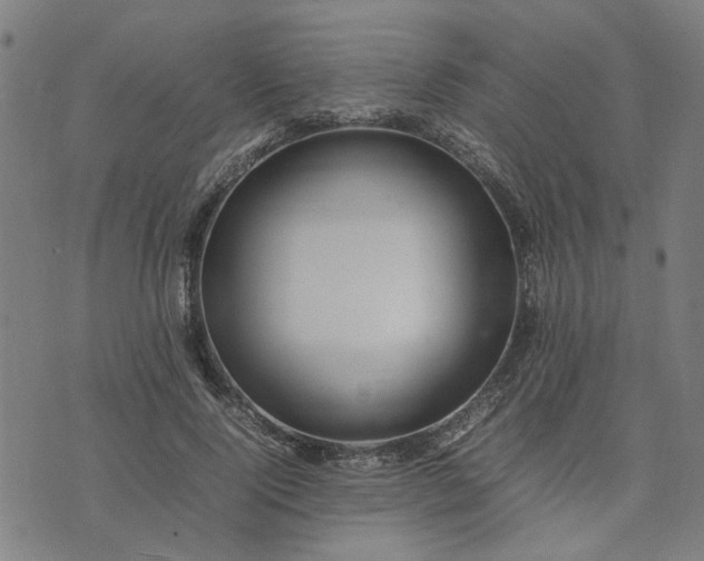 X0000074230740200609081620