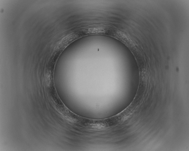 X0000074230741200609081620