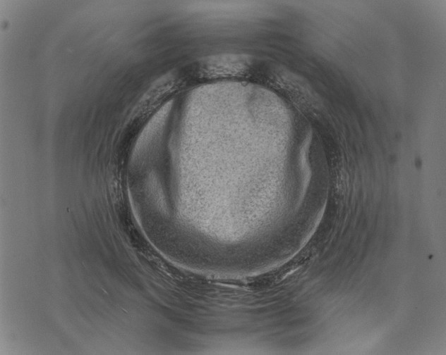 X0000074230743200609081620