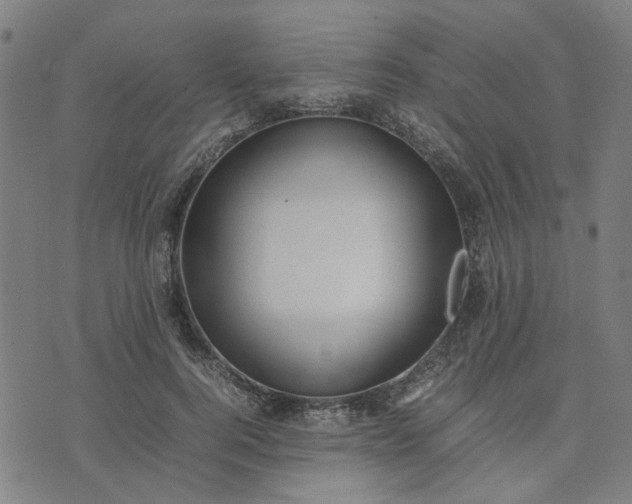 X0000074230744200609081620