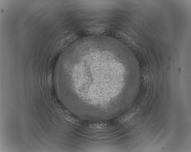 X0000074230745200609081620