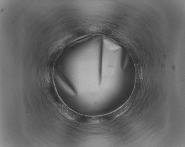 X0000074230746200609081620