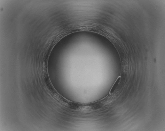 X0000074230748200609081620