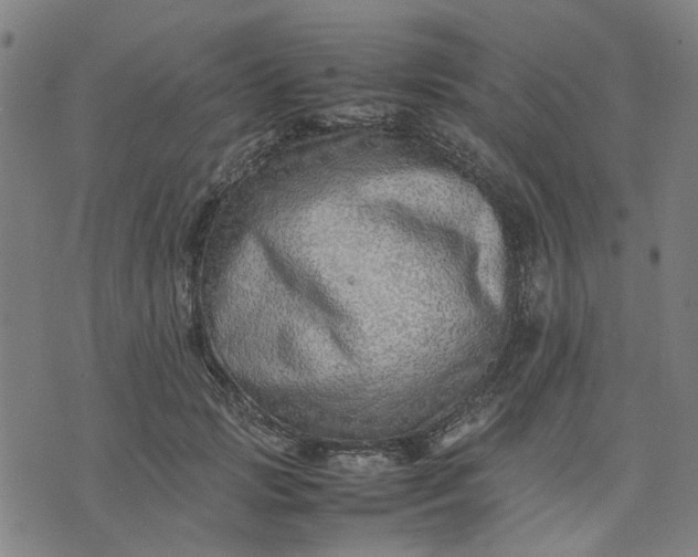 X0000074230749200609081621