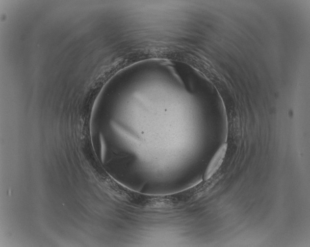 X0000074230750200609081621