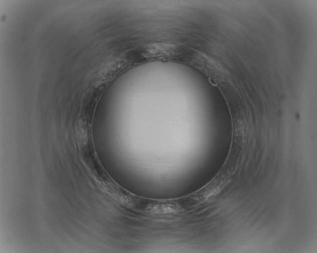 X0000074230751200609081621