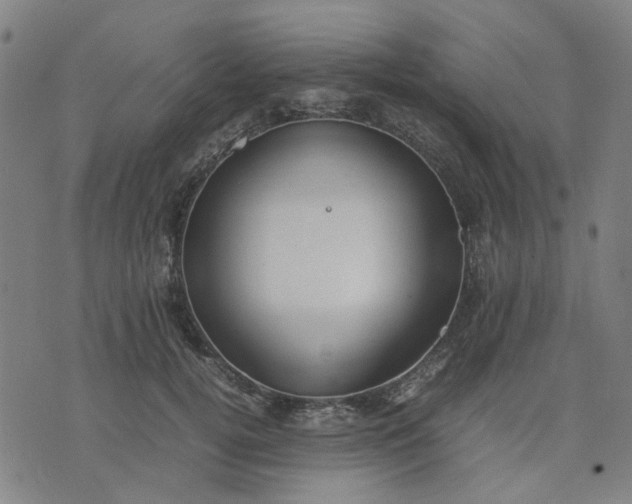 X0000074230752200609081621