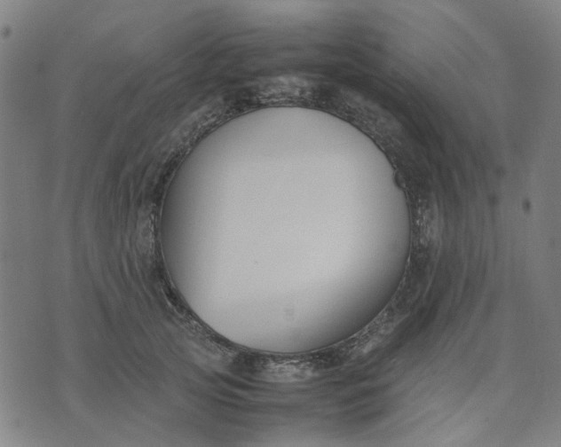 X0000074230753200609081621