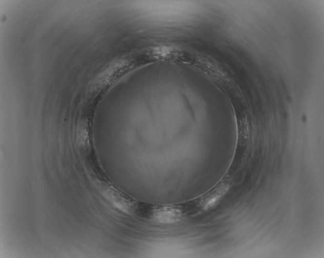 X0000074230754200609081621