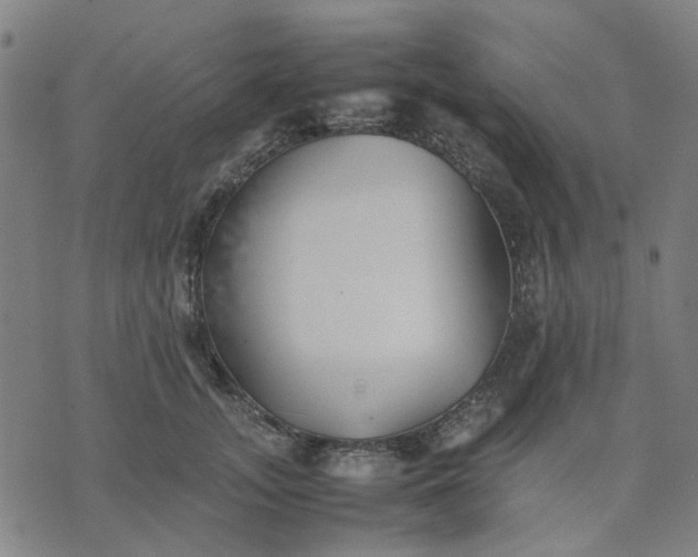 X0000074230755200609081621