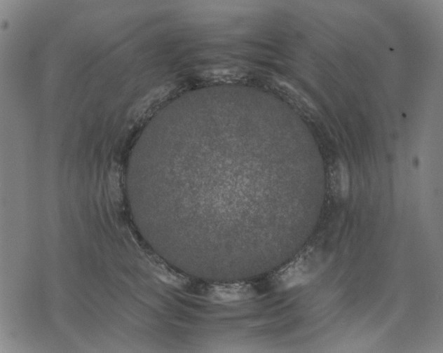 X0000074230757200609081621