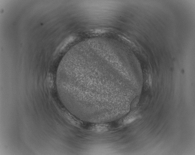 X0000074230758200609081621