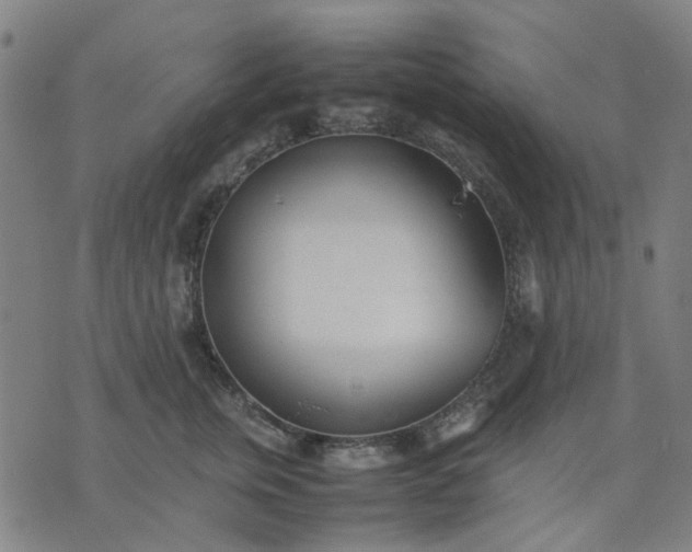 X0000074230759200609081621