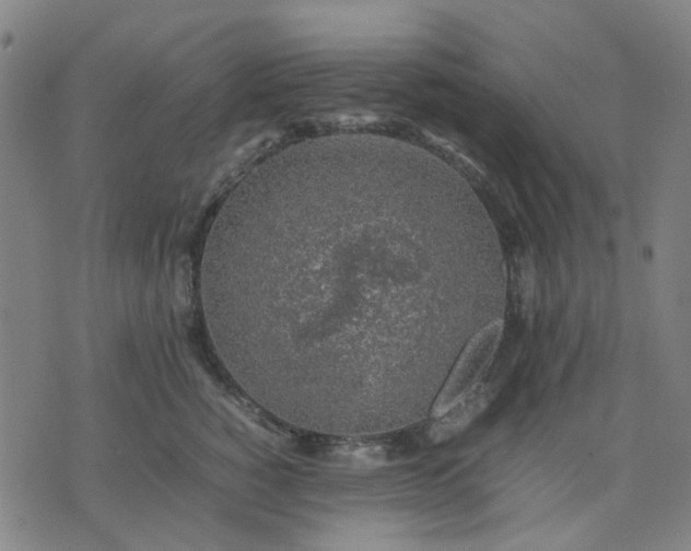 X0000074230760200609081621