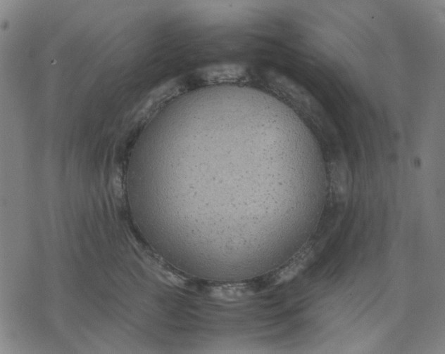 X0000074230761200609081621