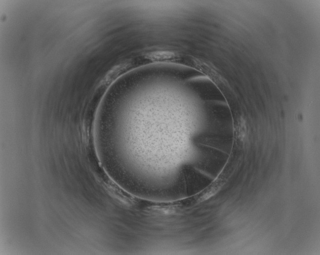 X0000074230763200609081621