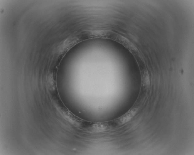 X0000074230764200609081621