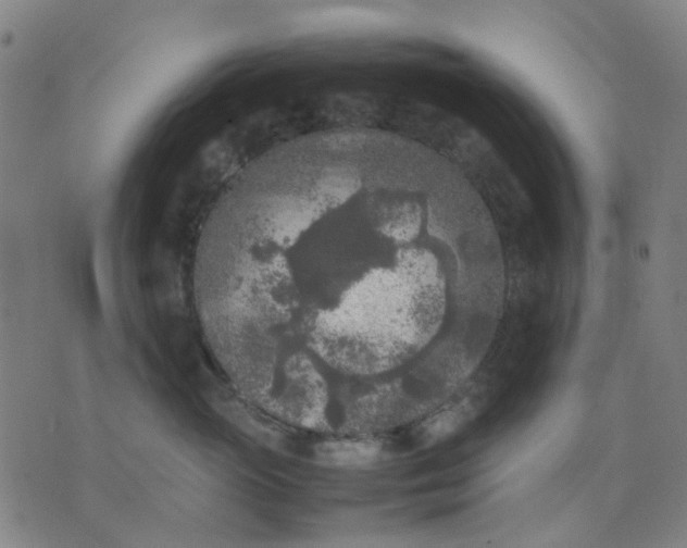 X0000074230765200609081621