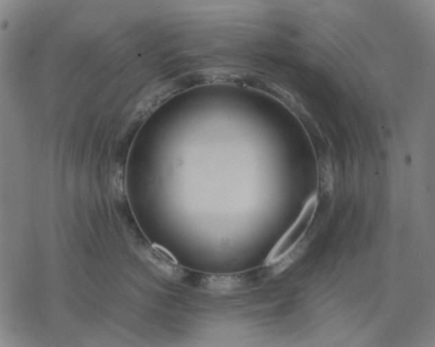 X0000074230766200609081621