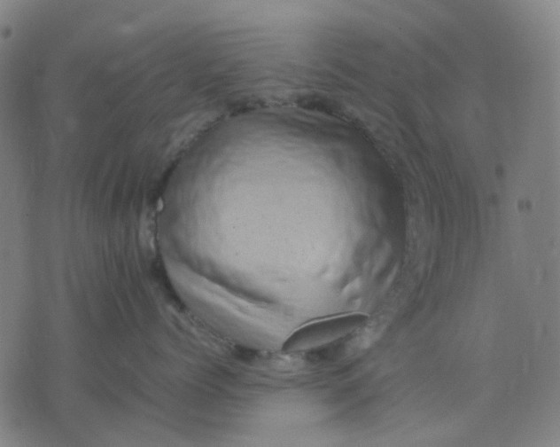 X0000074230768200609081621