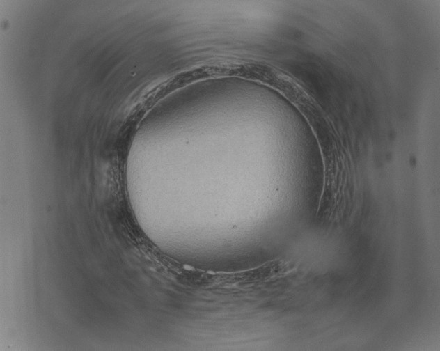 X0000074230773200609081620