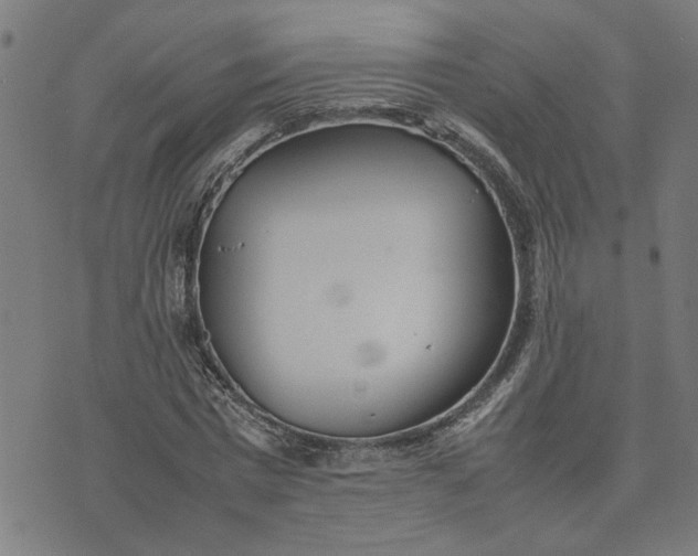 X0000074230777200609081620