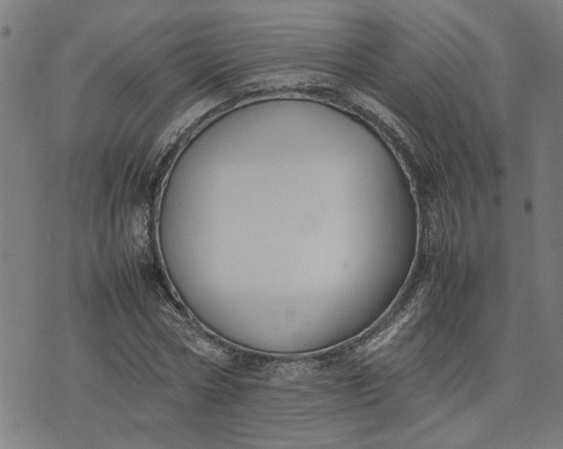 X0000074230778200609081620