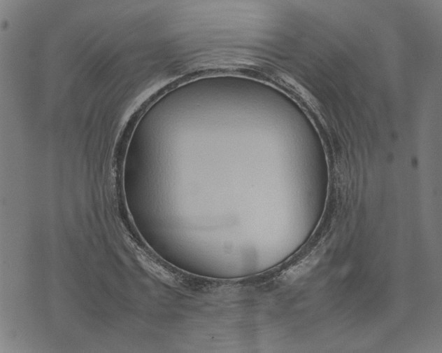 X0000074230779200609081620