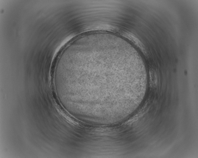 X0000074230780200609081620