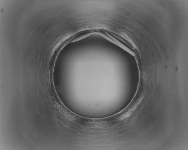 X0000074230781200609081620