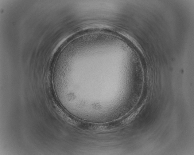 X0000074230783200609081620