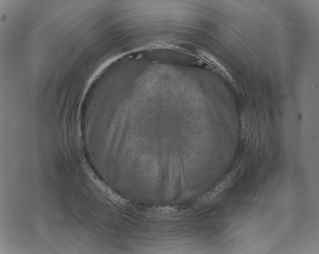 X0000074230784200609081620