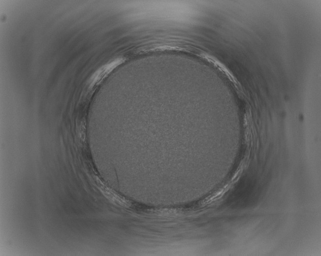 X0000074230785200609081620